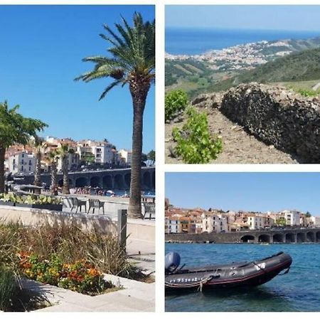 Appartement 300 M Plage Et Port Banyuls-sur-Mer Exteriér fotografie