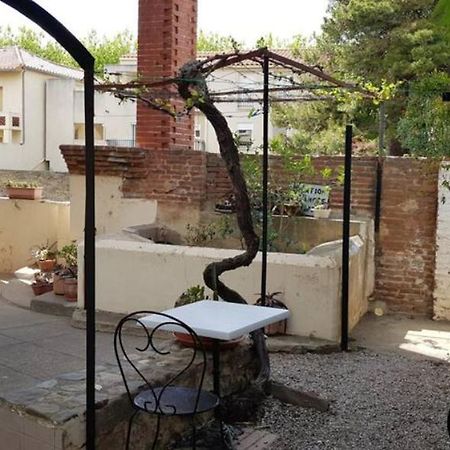 Appartement 300 M Plage Et Port Banyuls-sur-Mer Exteriér fotografie